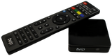 TVIP remote